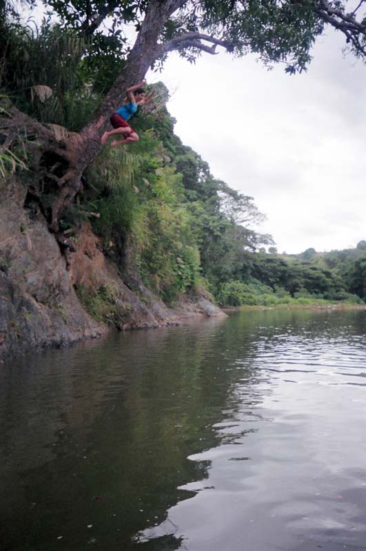 jackie jumping off tree in yavuna