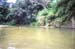 swimming in yavuna village river